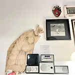 La Casa Del Pesce - Within The Historical Walls Of Lucca