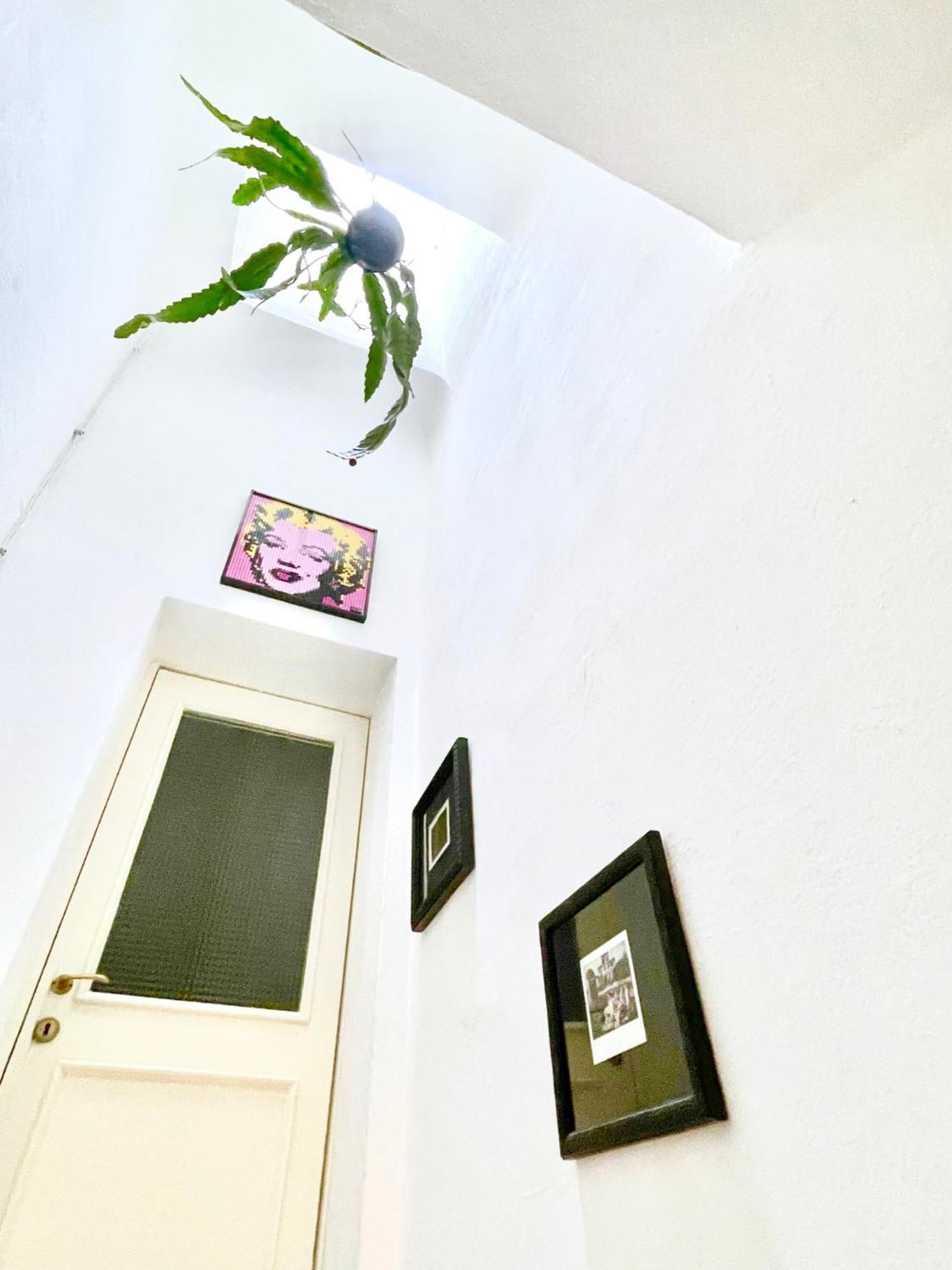 La Casa Del Pesce - Within The Historical Walls Of Apartment Lucca